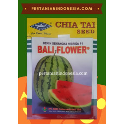 Benih Semangka Bali Flower 