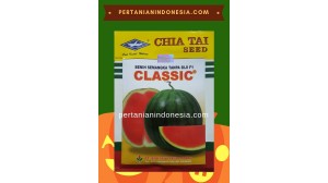 Benih Semangka Classic 