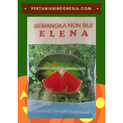 Benih Semangka Elena 