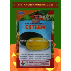 Benih Semangka Esteem 