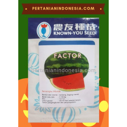 Benih Semangka Factor 