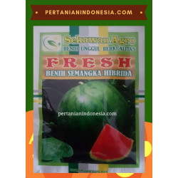 Benih Semangka Fresh 