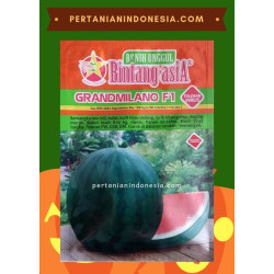Benih Semangka Grand Milano 