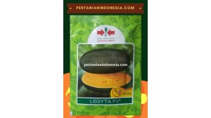 Benih Semangka Legyta 