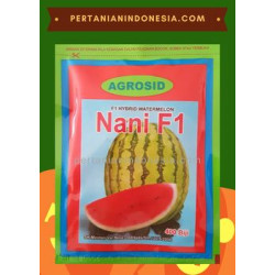 Benih Semangka Nani 