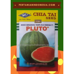 Benih Semangka Pluto 