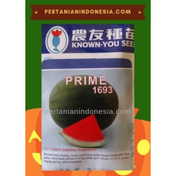 Benih Semangka Prime 