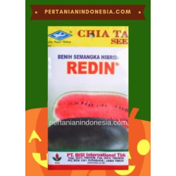 Benih Semangka Redin 