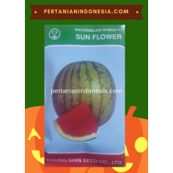 Benih Semangka Sun Flower 