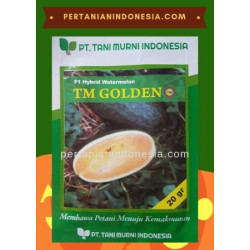 Benih Semangka TM Golden 