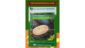 Benih Semangka TM Golden 