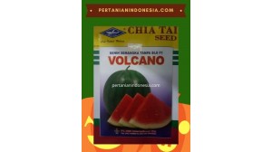 Benih Semangka Volcano 