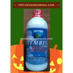 Perekat Tembus