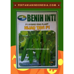 Benih Terong Hijau Tavi