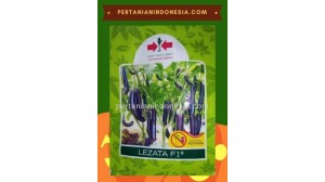 Benih Terong Lezata F1