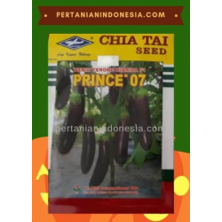 Benih Terong Prince