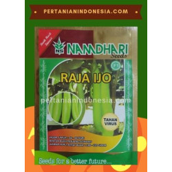 Benih Terong Raja Ijo