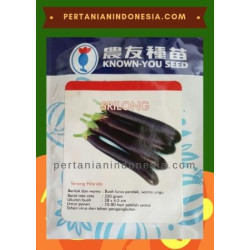 Benih Terong Sri Long