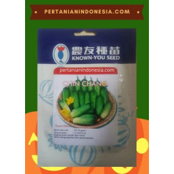 Benih Timun Chin Chang