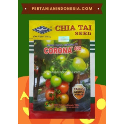 Benih Tomat Corona