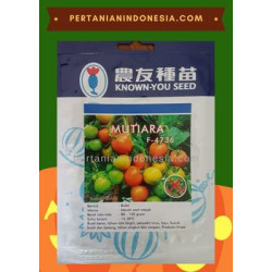 Benih Tomat Mutiara Known You Seed