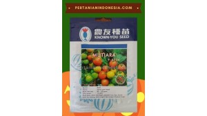 Benih Tomat Mutiara Known You Seed