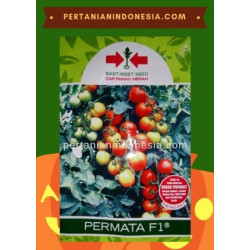 Benih Tomat Permata