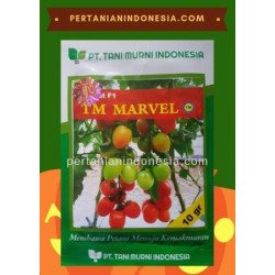 Benih Tomat TM Marvel