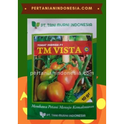 Benih Tomat TM Vista