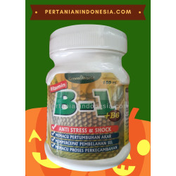 Vitamin B1 B6 Green World Pupuk Perangsang Akar