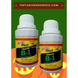 Vitamin B1 Liquinox Start Pupuk Perangsang Akar