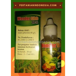 ZPT Wonder Gibb 40 SL