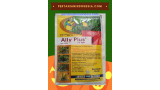 Herbisida Ally Plus 77 WP