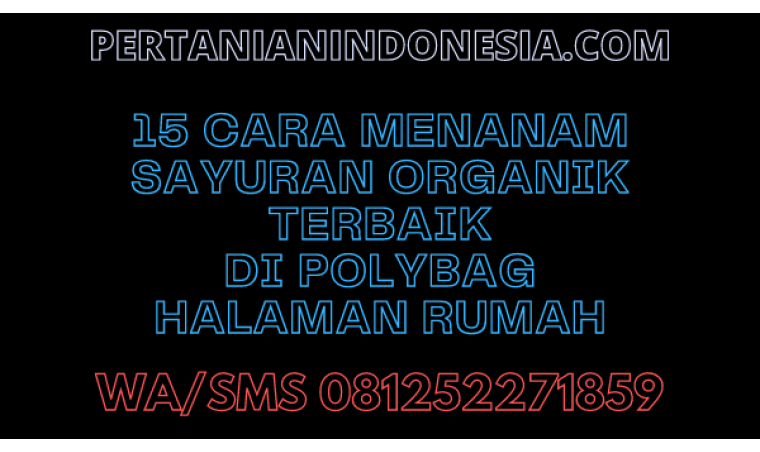 15 Cara Menanam Sayuran Organik Terbaik Di Polybag Halaman Rumah