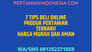 Beli Produk Pertanian Online Terbaru Di Rumah Saja Jadi Cara Aman