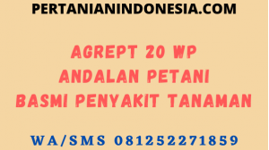 Agrept 20 WP Andalan Petani Basmi Penyakit Tanaman