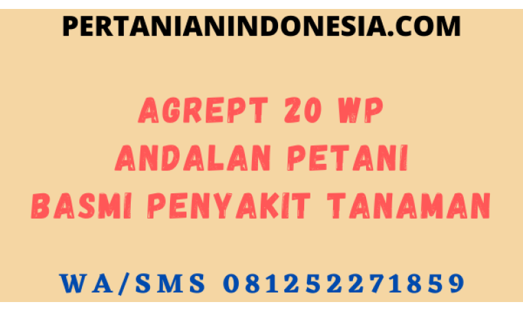 Agrept 20 WP Andalan Petani Basmi Penyakit Tanaman