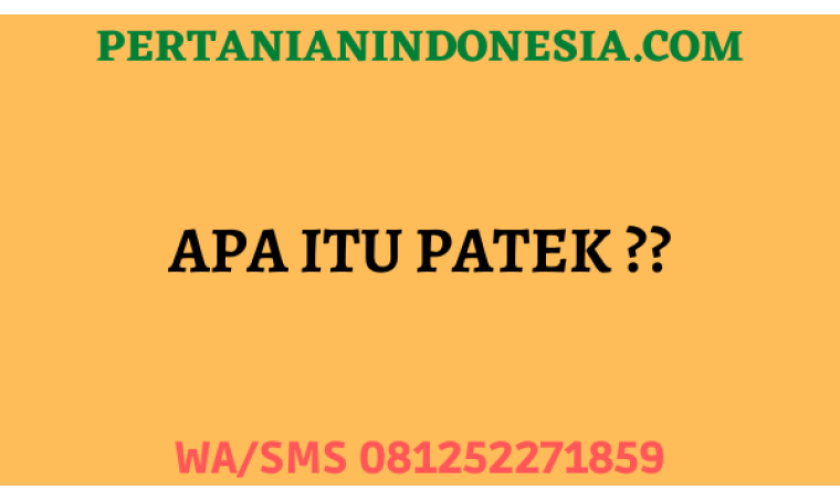 Apa Itu Patek ??