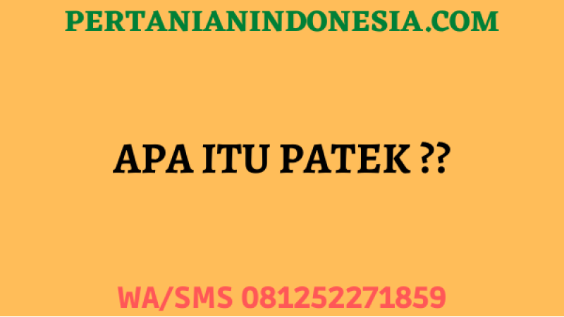Apa Itu Patek ??