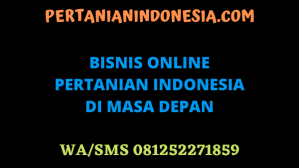 BISNIS ONLINE PERTANIAN INDONESIA DI MASA DEPAN