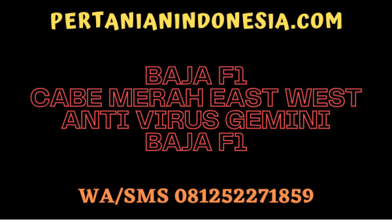Baja F1 Cabe Merah East West Anti Virus Gemini