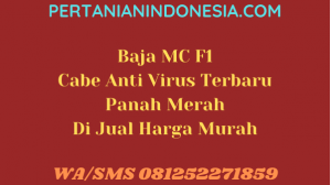 Baja MC F1 Cabe Anti Virus Terbaru Panah Merah Di Jual Harga Murah