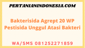 Bakterisida Agrept 20 WP Pestisida Unggul Atasi Bakteri
