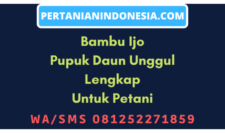 Bambu Ijo Pupuk Daun Unggul Lengkap Untuk Petani