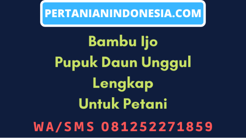 Bambu Ijo Pupuk Daun Unggul Lengkap Untuk Petani