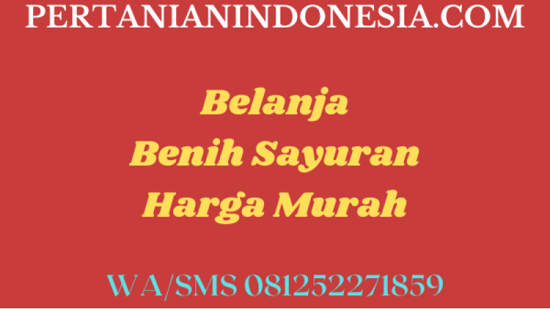 Belanja Benih Sayuran Harga Murah