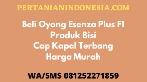 Beli Oyong Esenza Plus F1 Produk Bisi Cap Kapal Terbang Harga Murah