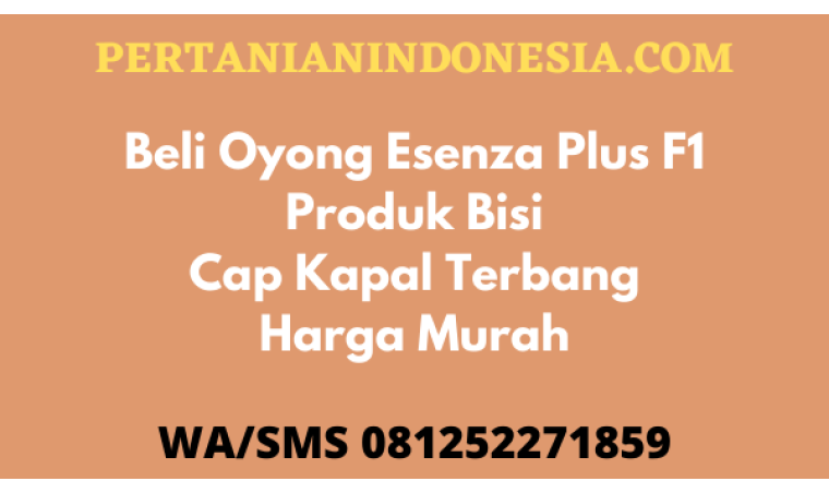 Beli Oyong Esenza Plus F1 Produk Bisi Cap Kapal Terbang Harga Murah
