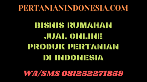 Bisnis Rumahan Jual Online Produk Pertanian Di Indonesia 