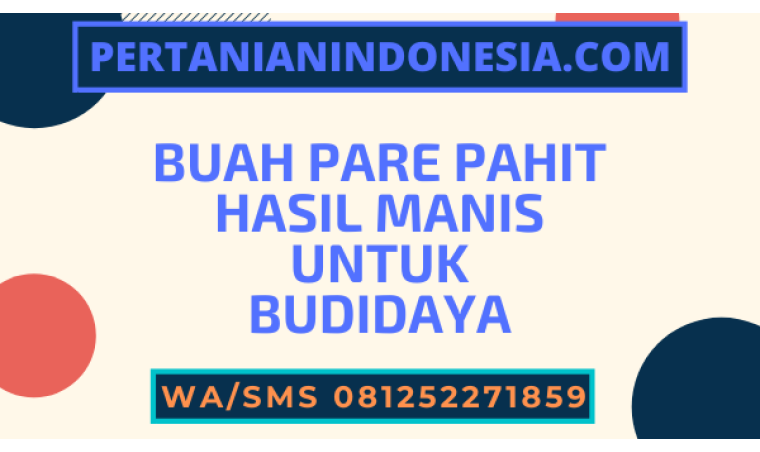 Buah Pare Pahit Hasil Manis Untuk Budidaya